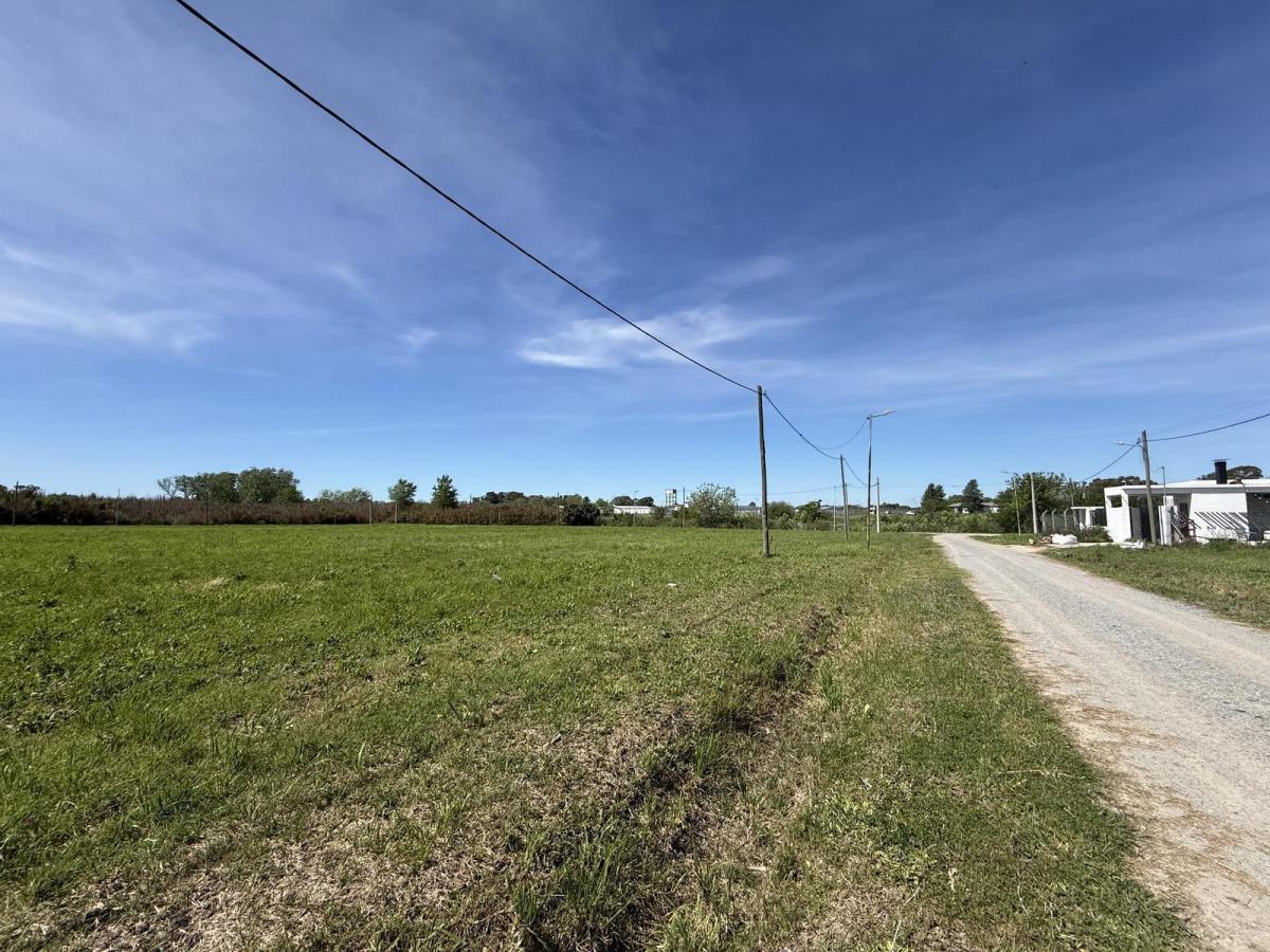 Terrenos y Lotes en Venta en Joaquin Gorina