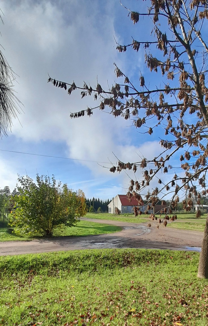Quinta en Venta en Monte