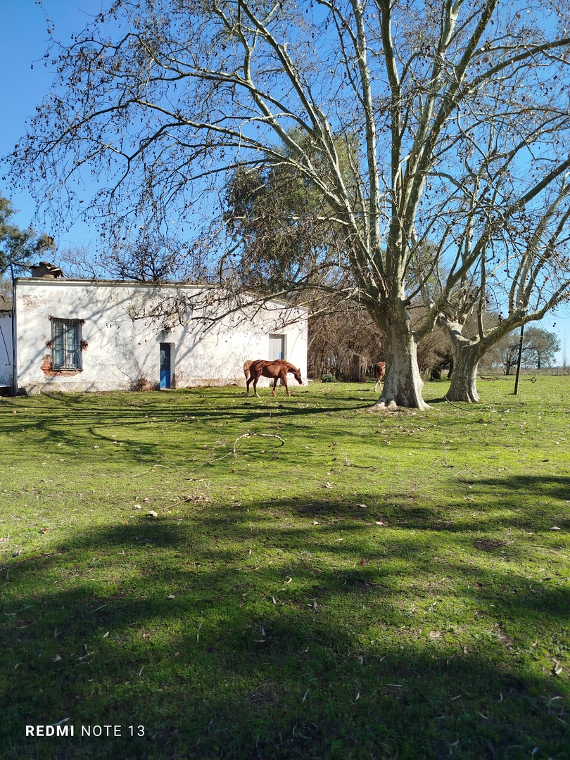 Campo en Venta en Monte