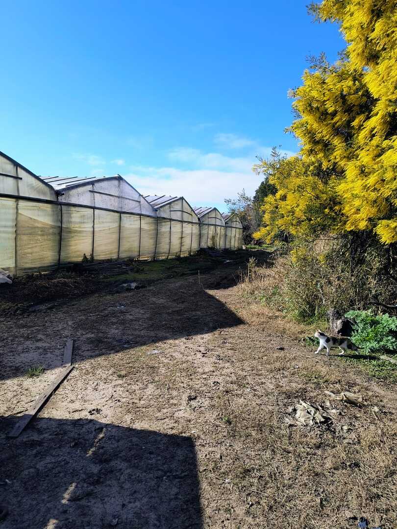 Campo en Venta en Poblet