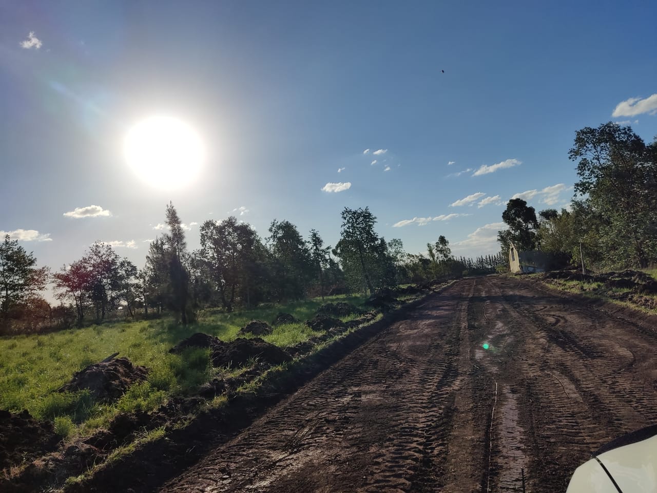 Terreno en Venta en Olmos, Lisandro ,ap.