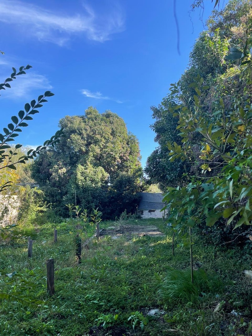 Terrenos y Lotes en Venta en Berisso