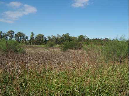 Terreno en Venta en Melchor Romero