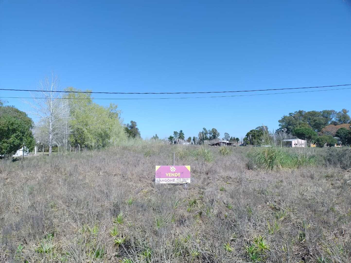 Terrenos y Lotes en Venta en La Plata