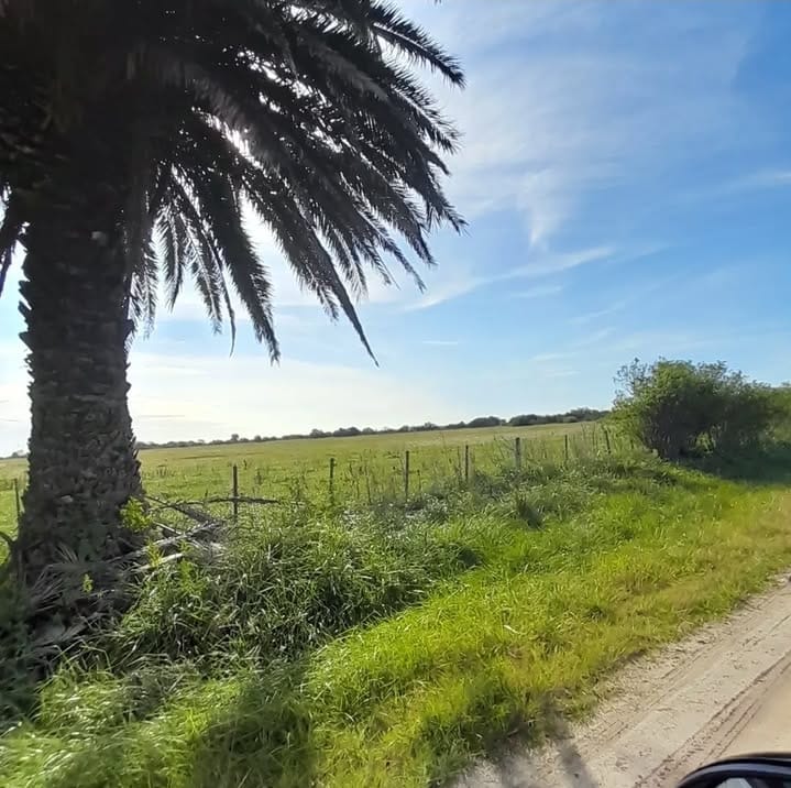Terrenos y Lotes en Venta en Magdalena