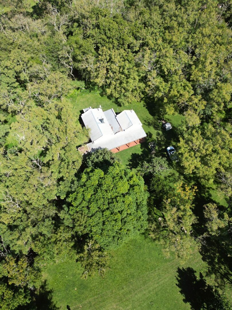 Campo en Venta en Vieytes