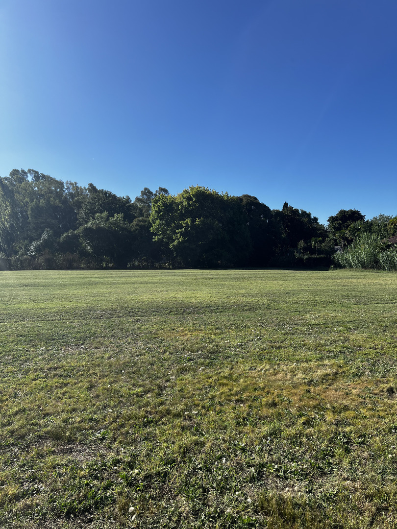 Terrenos y Lotes en Venta en Villa Elisa