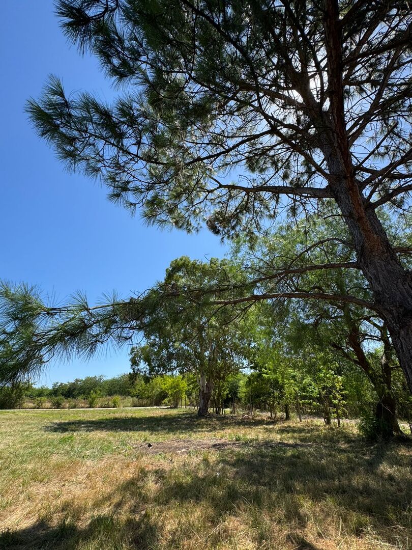 Terrenos y Lotes en Venta en Villa Elisa