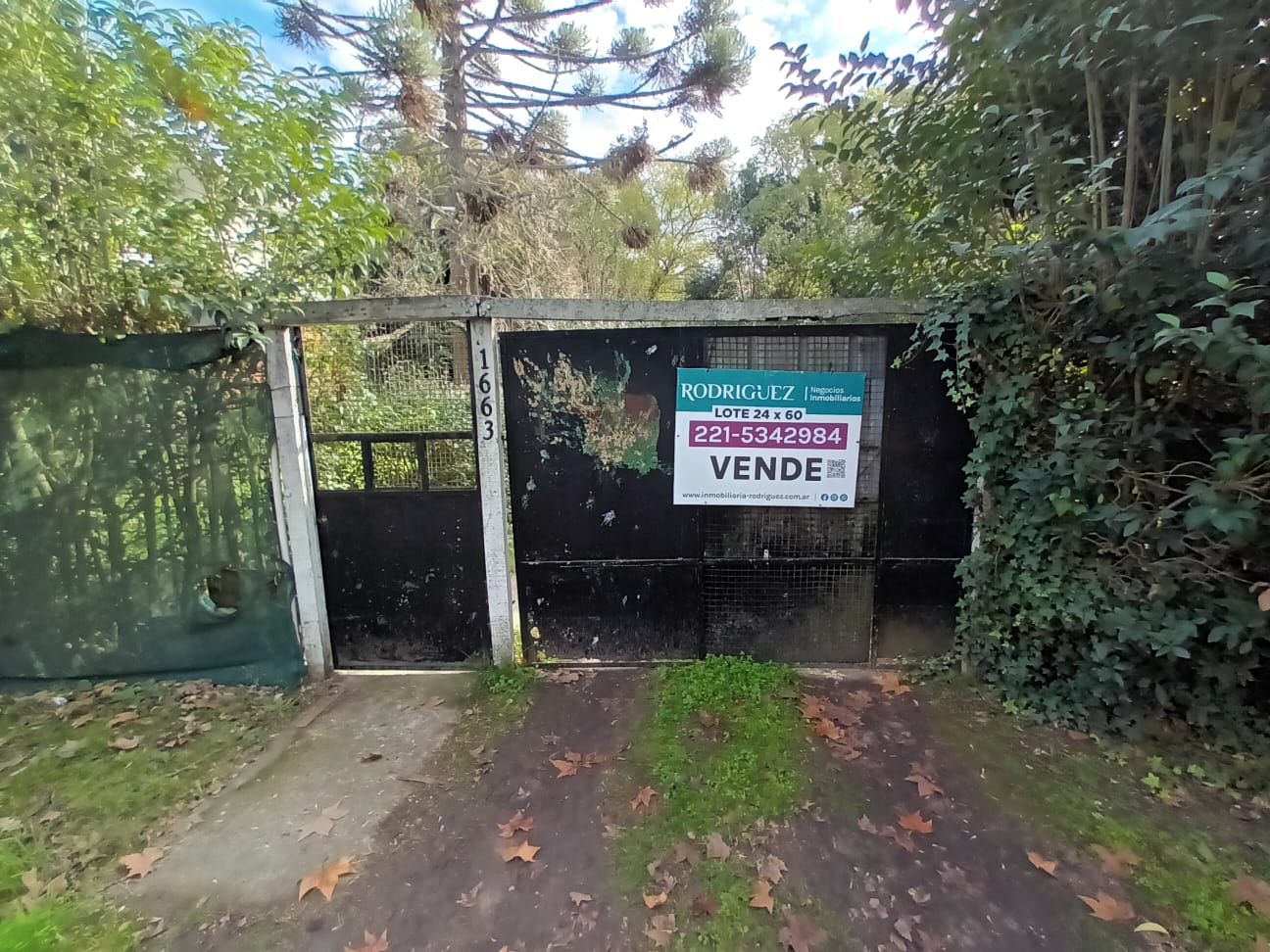 Terrenos y Lotes en Venta en Gonnet