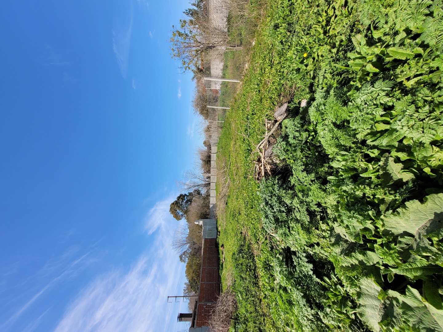 Terrenos y Lotes en Venta en San Carlos