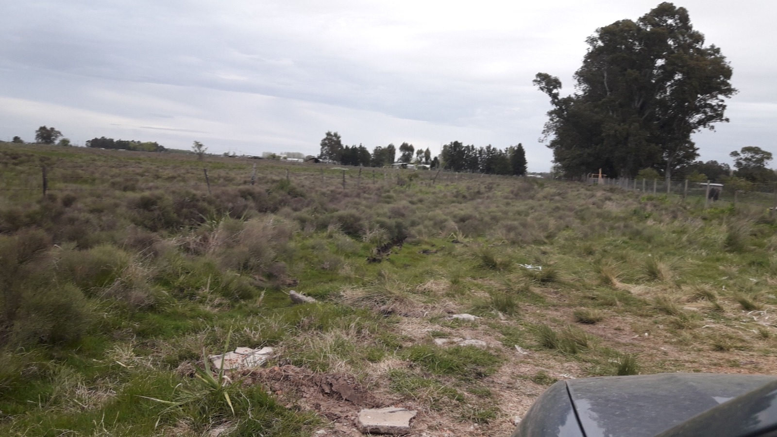 Terrenos y Lotes en Venta en Angel Etcheverry