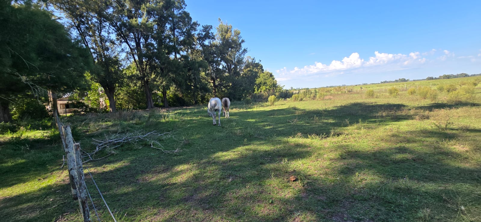Campo en Venta en Payro, Roberto