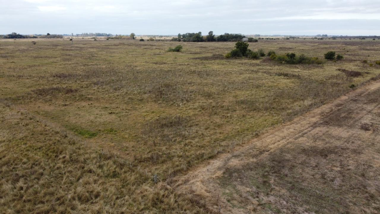 Campo en Venta en 