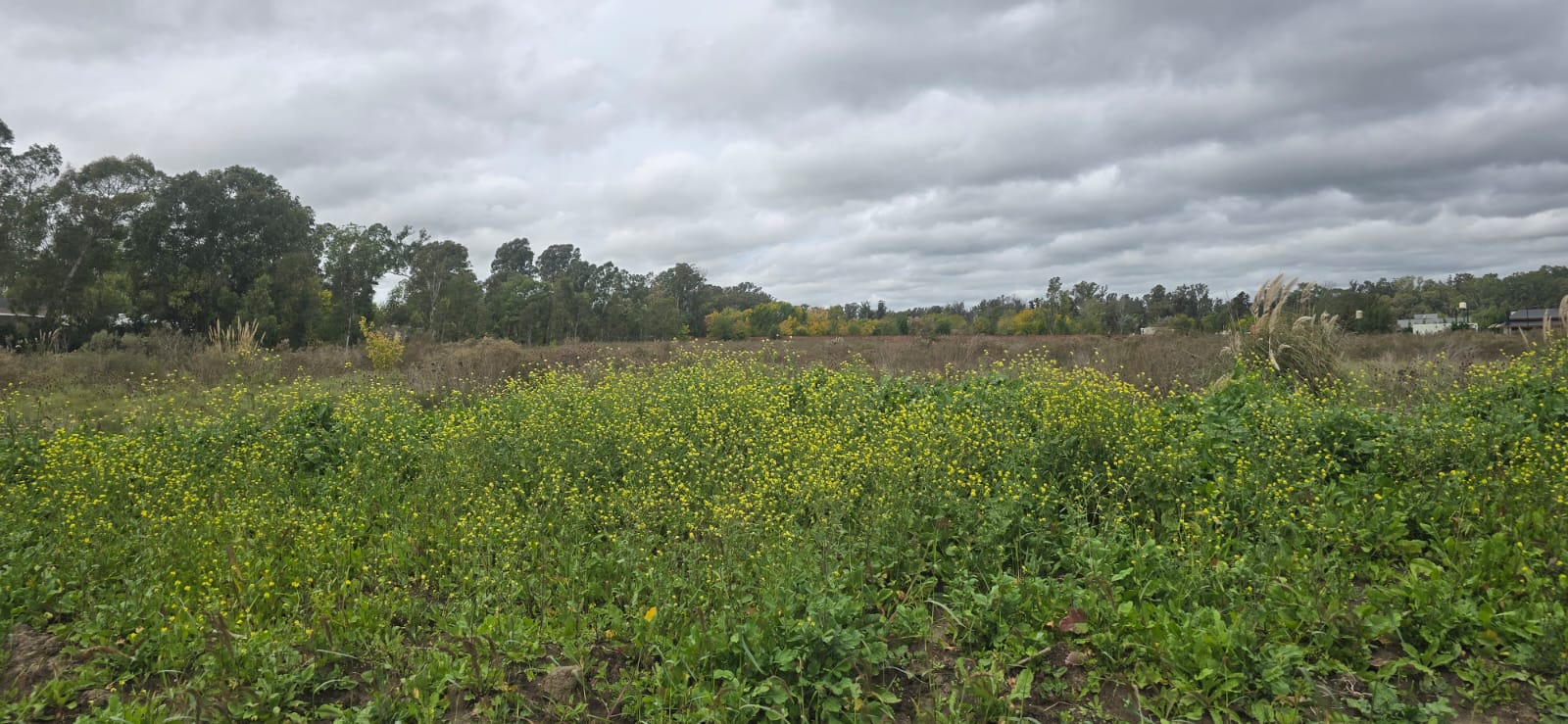 Terrenos y Lotes en Venta en La Plata