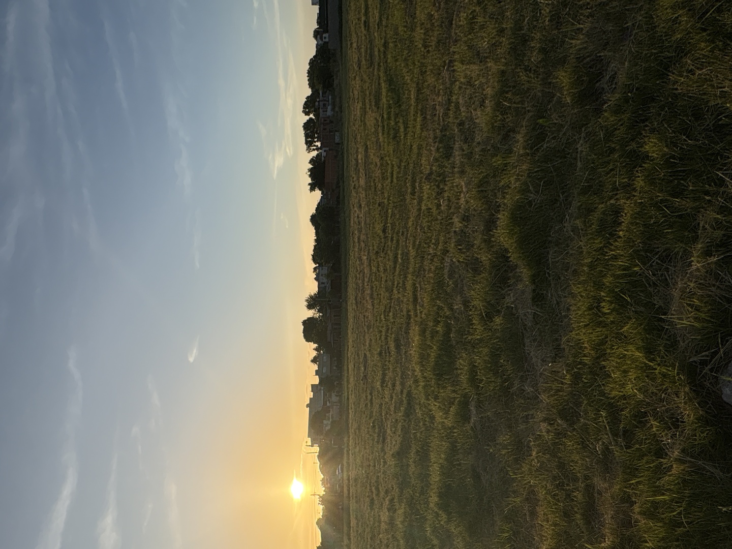 Terrenos y Lotes en Venta en San Carlos