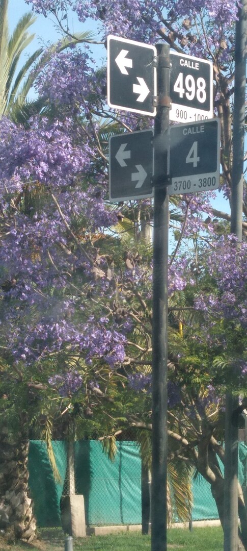 Terrenos y Lotes en Venta en La Plata