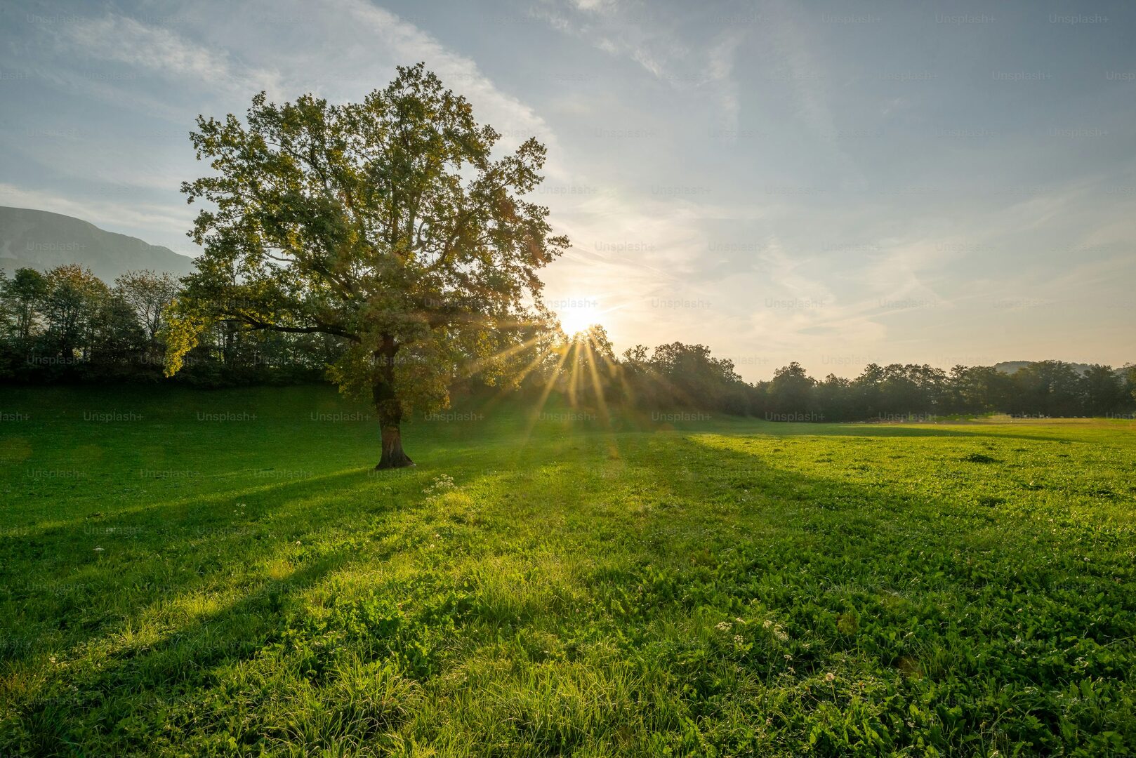 Campo en Venta en Coronel Brandsen