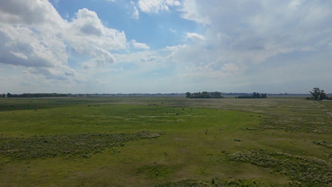 Campo en Venta en San Vicente