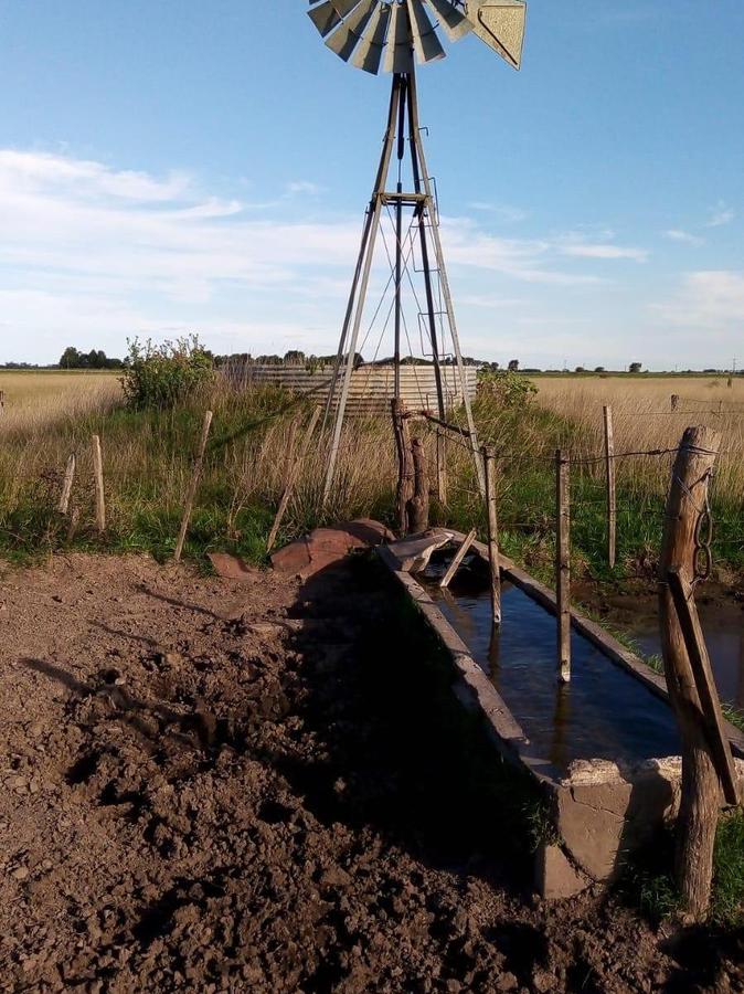 Campo en Venta en Ranchos