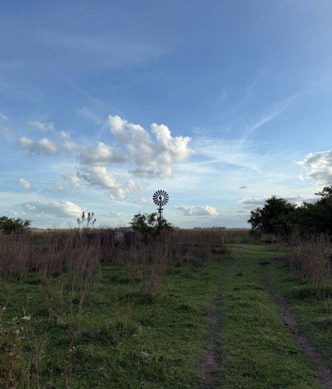 Campo en Venta en Ranchos