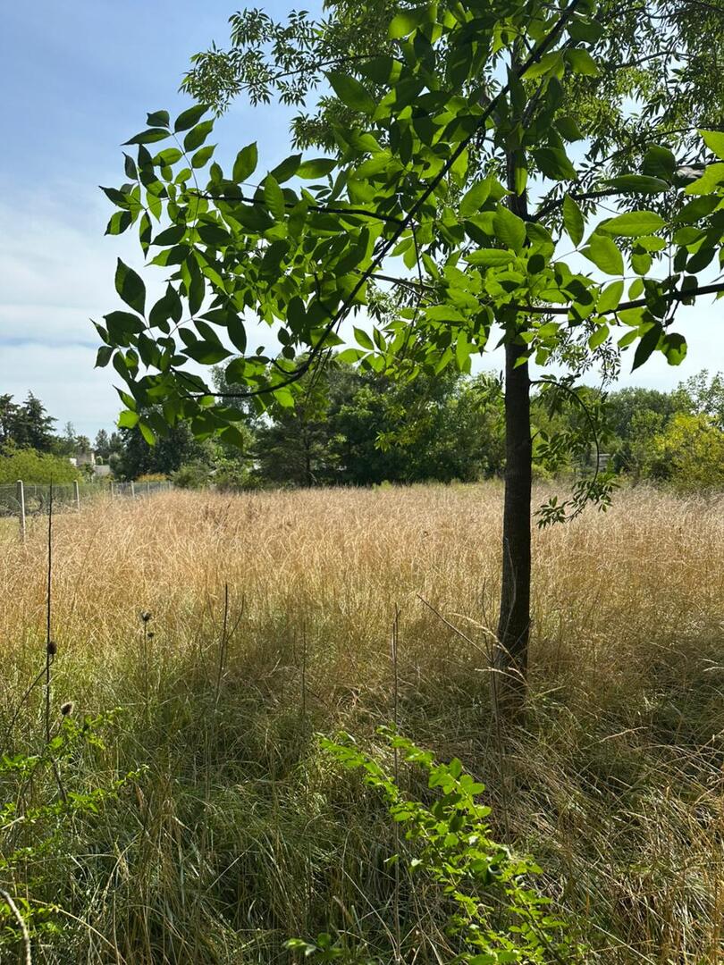Terrenos y Lotes en Venta en Gomez de La Vega