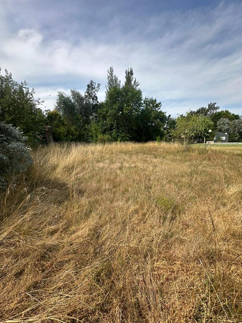 Terrenos y Lotes en Venta en Gomez de La Vega