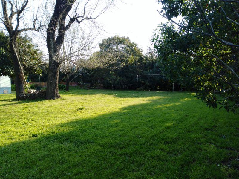 Terrenos y Lotes en Venta en Joaquin Gorina