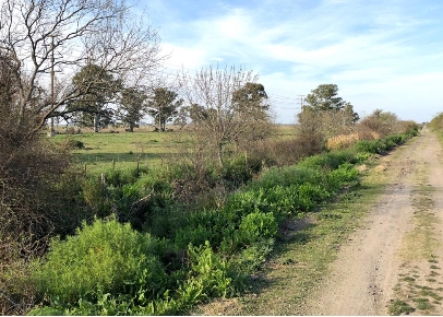 Campo en Venta en Punta Lara