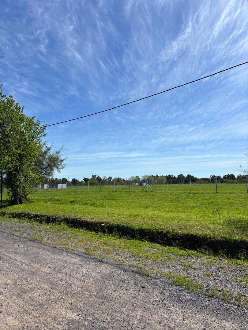 Terrenos y Lotes en Venta en Melchor Romero