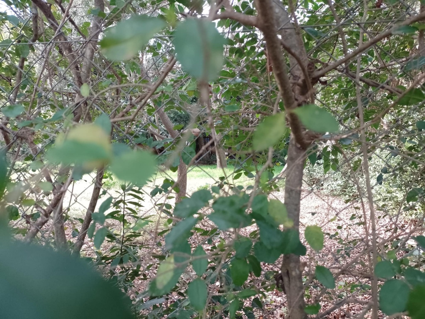 Terrenos y Lotes en Venta en La Plata