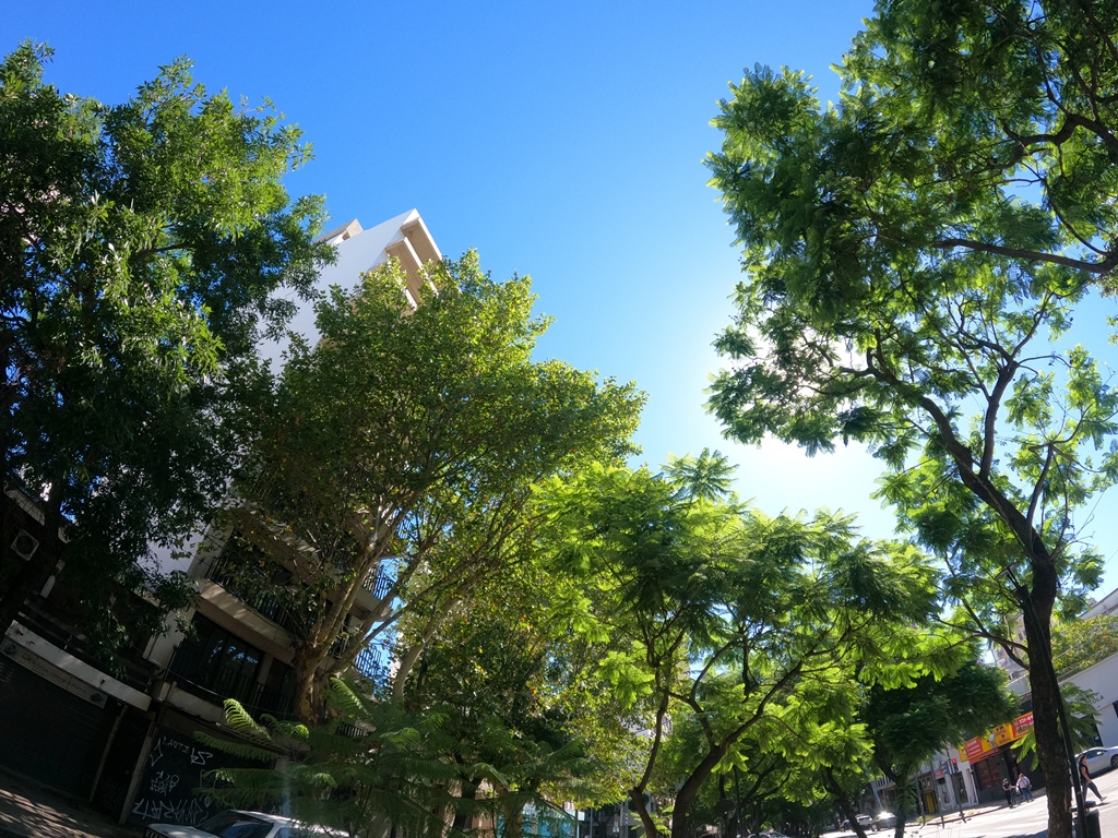 Departamento en Venta en La Plata